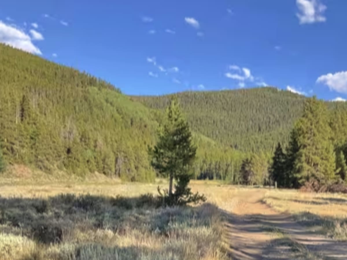 Pass Creek Branch Road photo 5