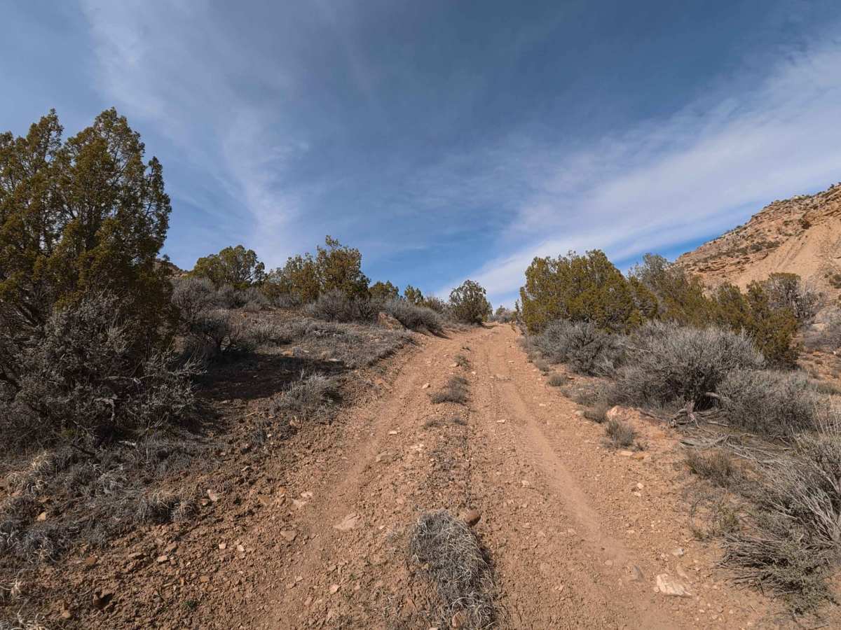 BLM 129 photo 4