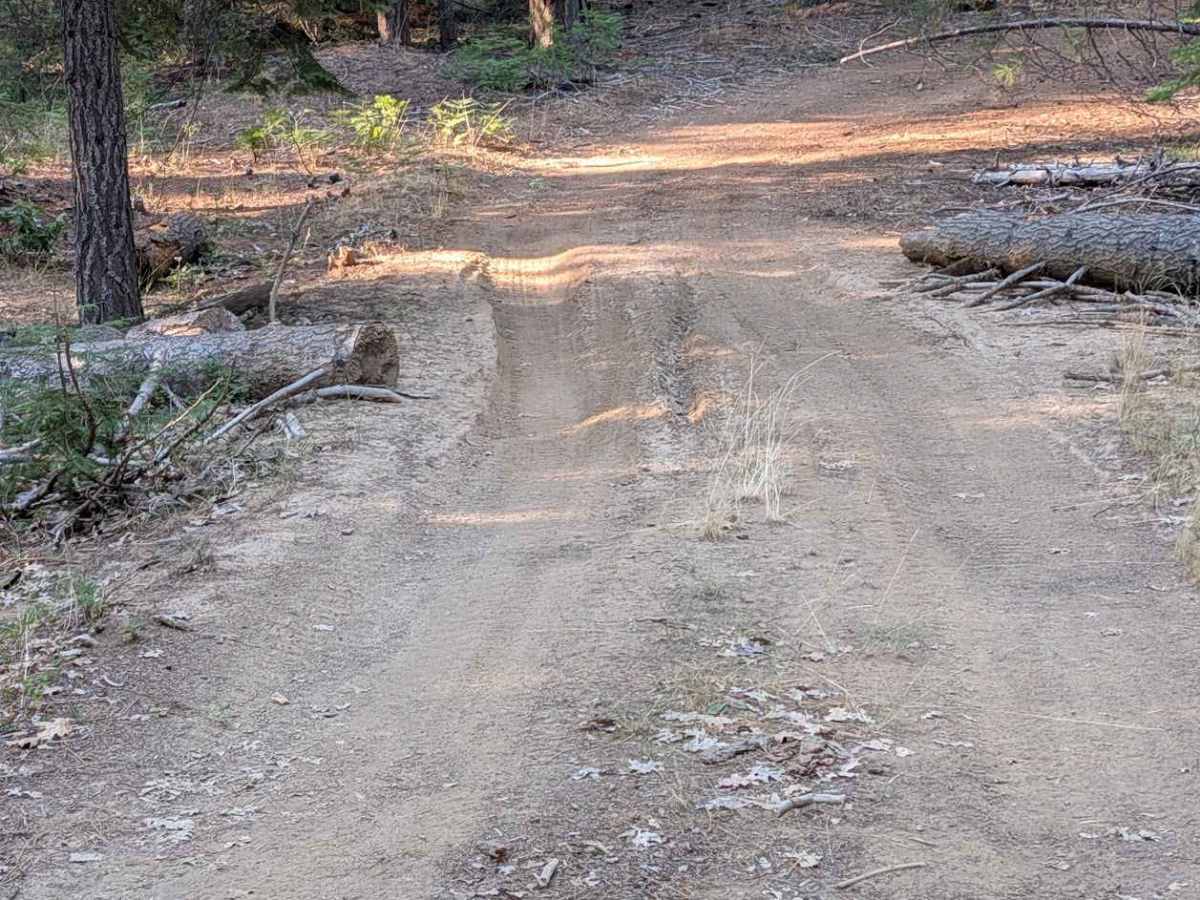 Bear Wallow Meadow Road - FS 1N14 photo 4