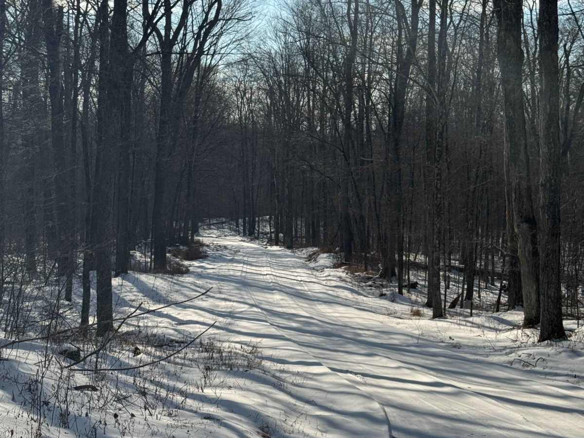 Cabbage Hollow Road photo 6