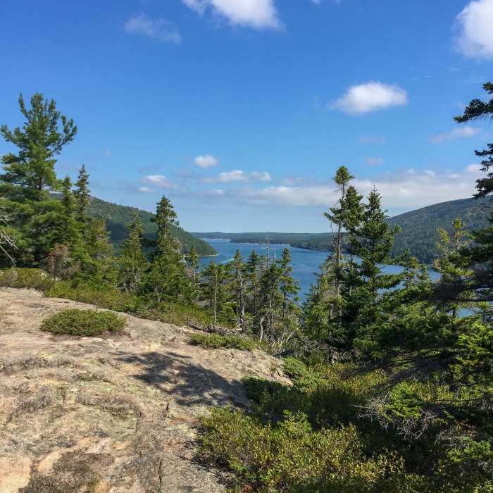 Near Flying Mountain Trail