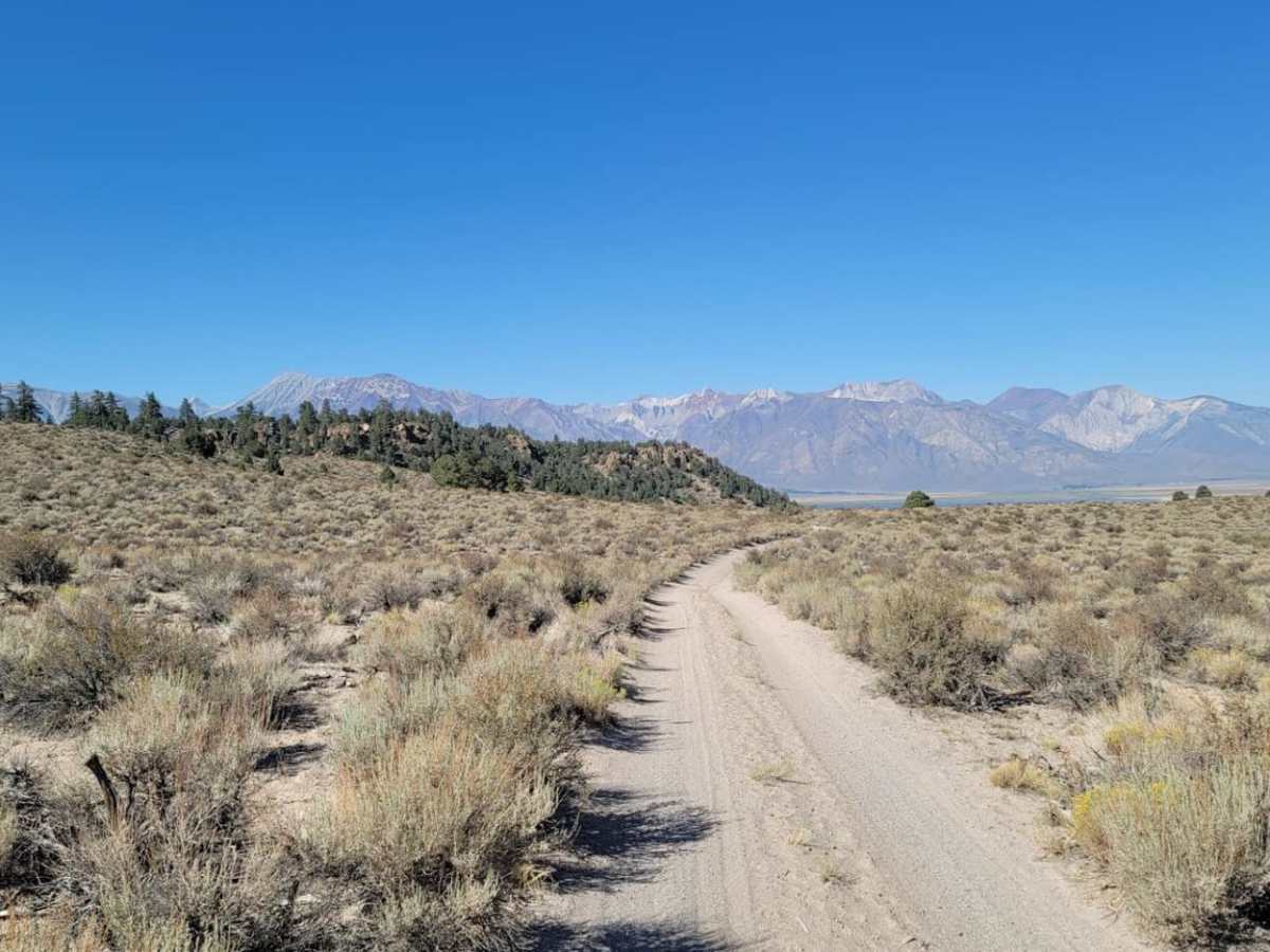 3S151 Crowley Lake Trail photo 5