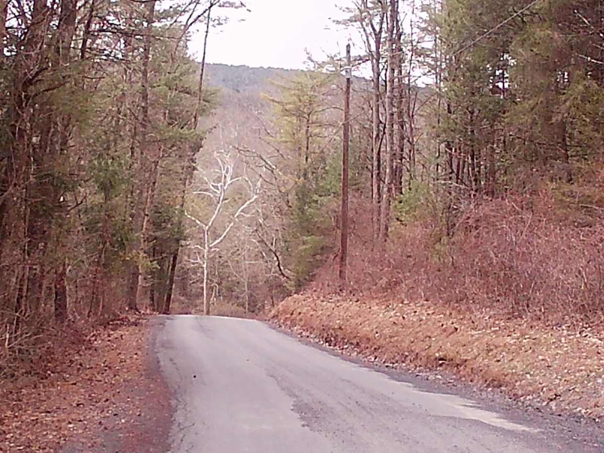 Treaster Kettle road photo 3