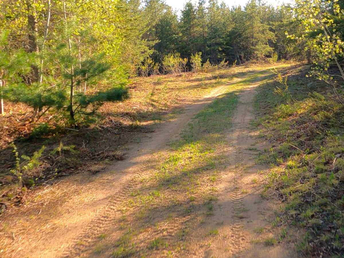 West Harvey Road photo 2