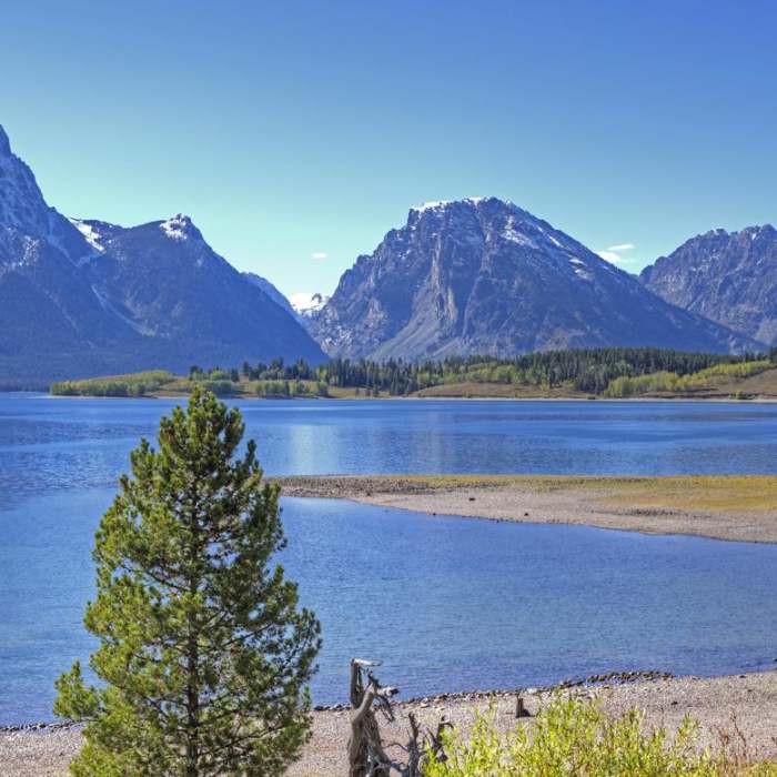 Near Hermitage Point