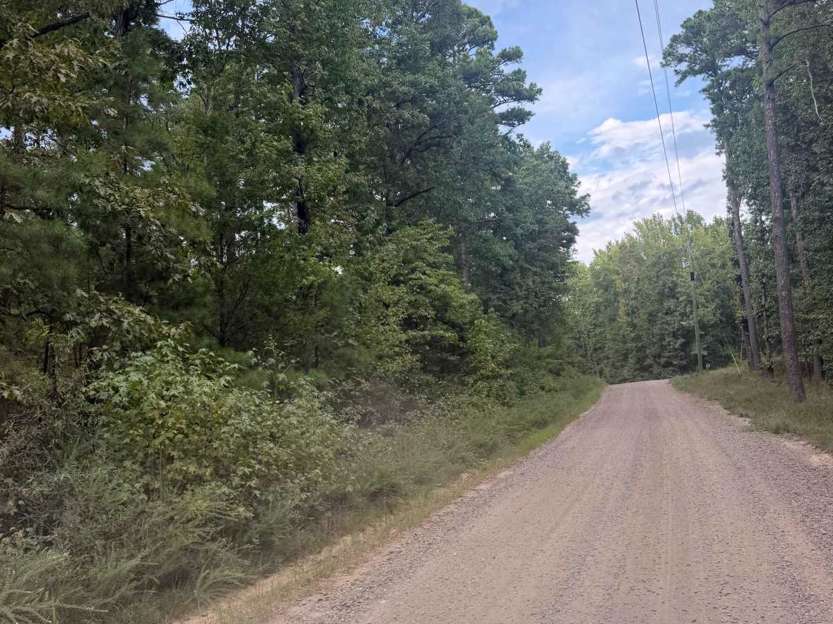 Blue Jay Hollow photo 5