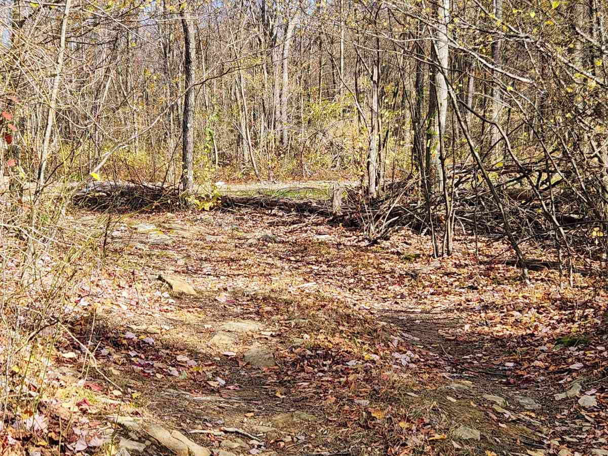 OHV 8 - Rock Run Recreation Area photo 2