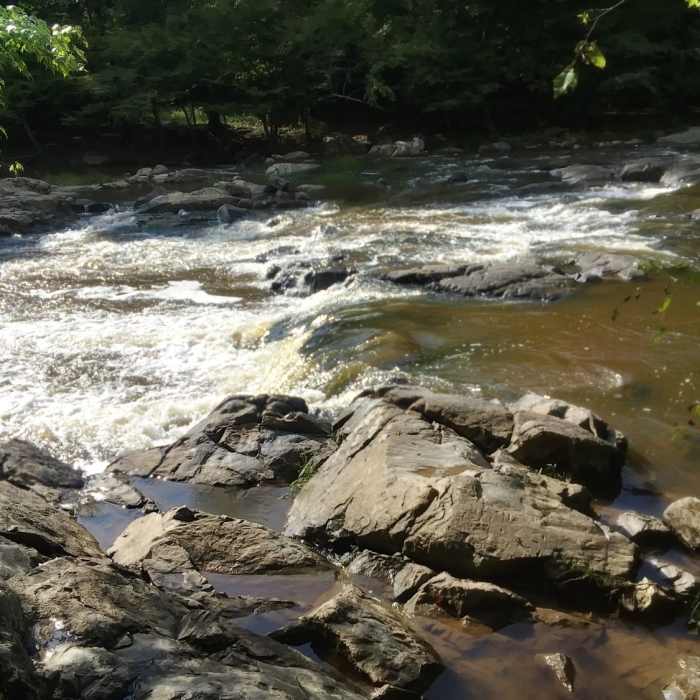 Near Cox Mountain Trail