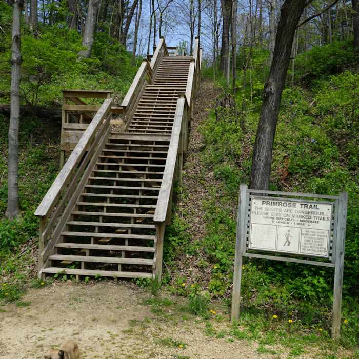 Manual escalator at the trailhead. Near Sunset Nature Trail