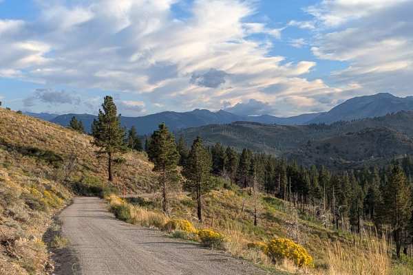 Leviathan Mine Road
