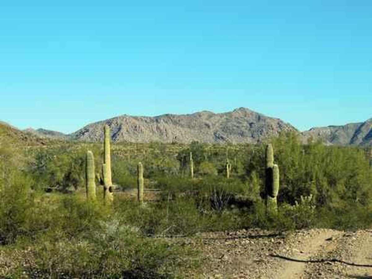 Tank Pass photo 3