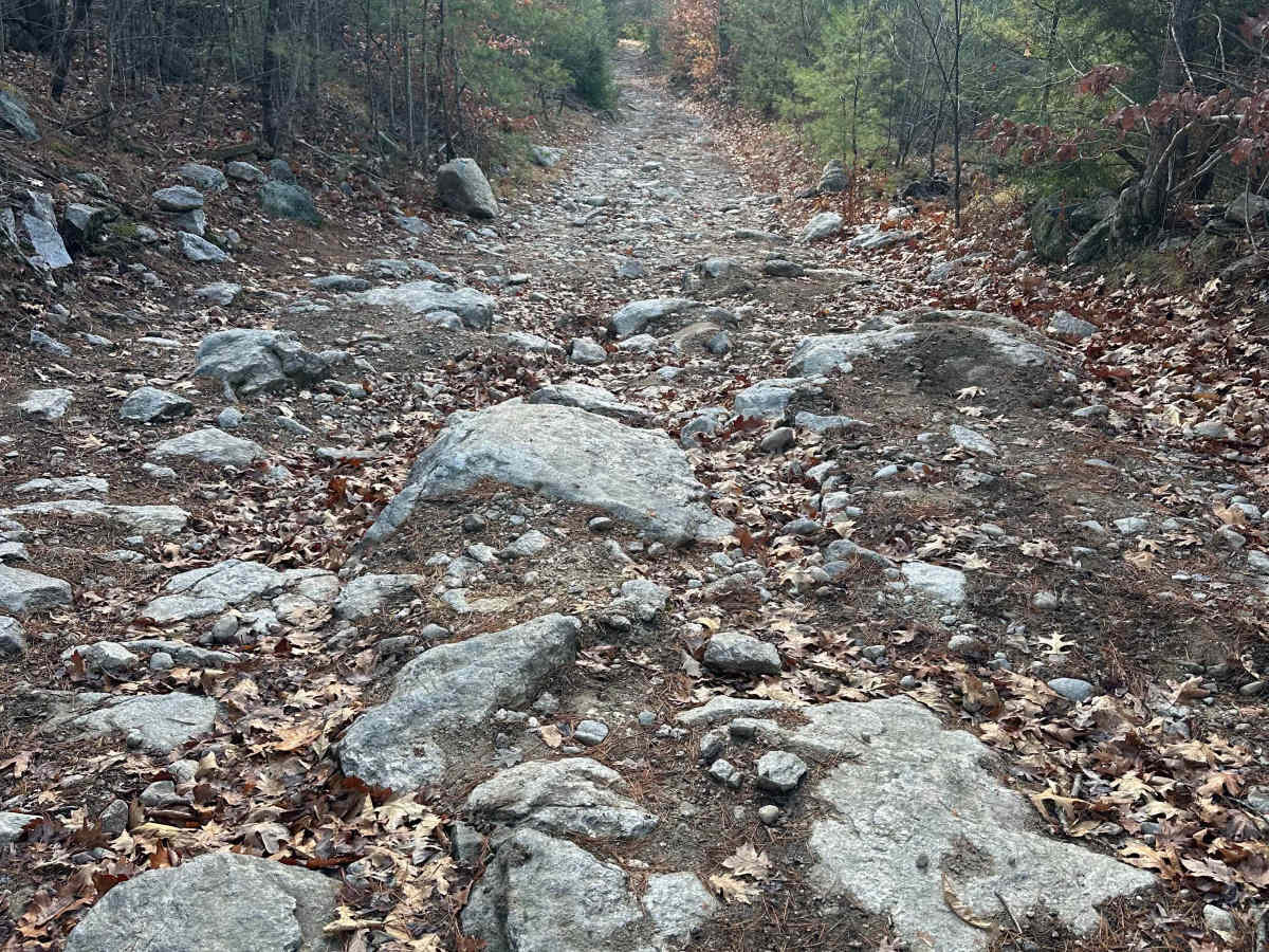 Hutchinson Hill trail photo