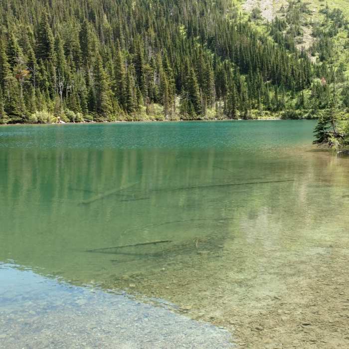Near Bertha Lake Trail