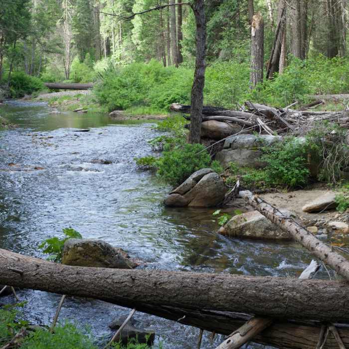 Near Carlon Falls Trail