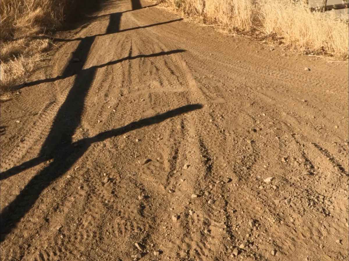 Sri Loop photo 6