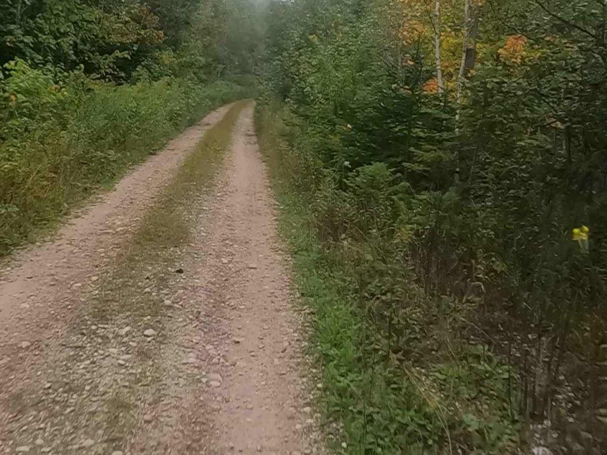 Strickler Truck Road photo 6