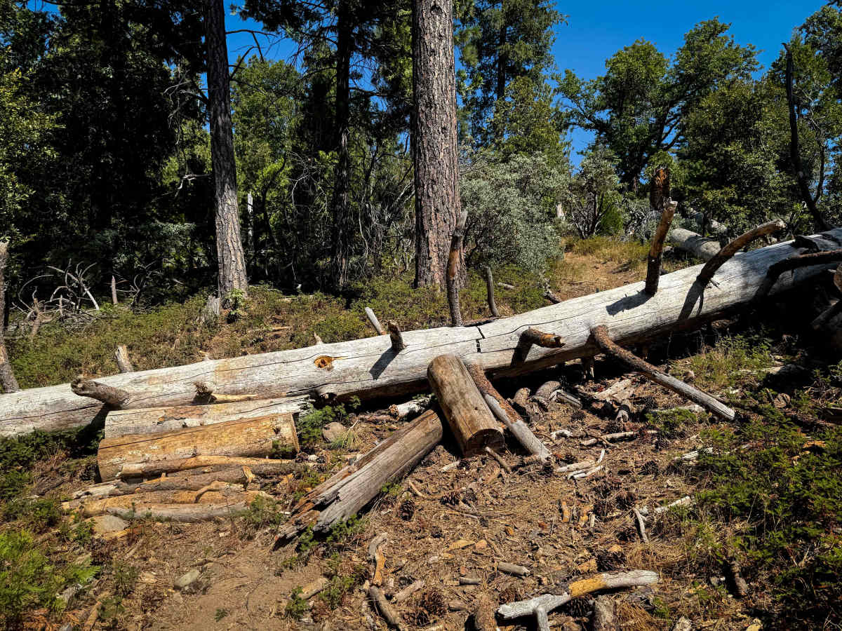 16EV248 trail photo