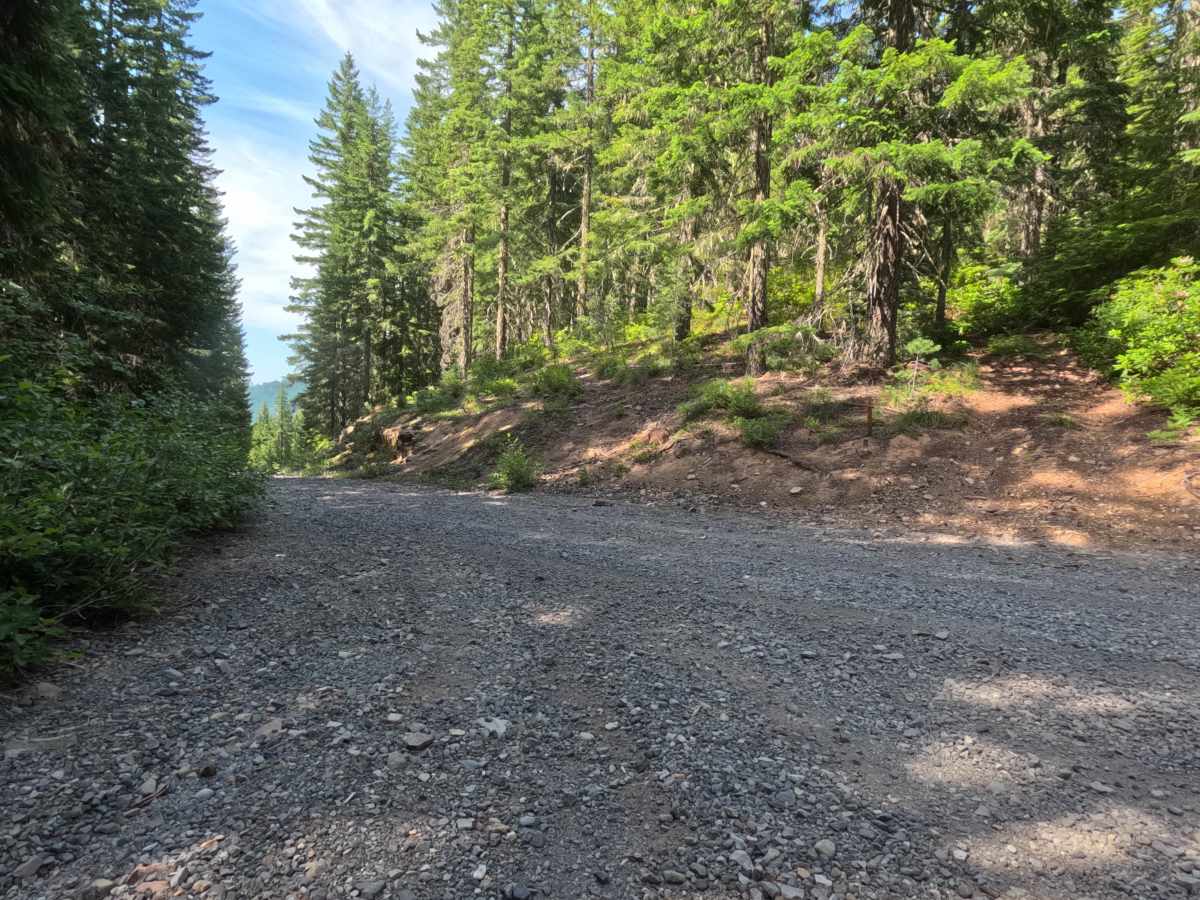 Elk Lake - FS 4697 trail photo