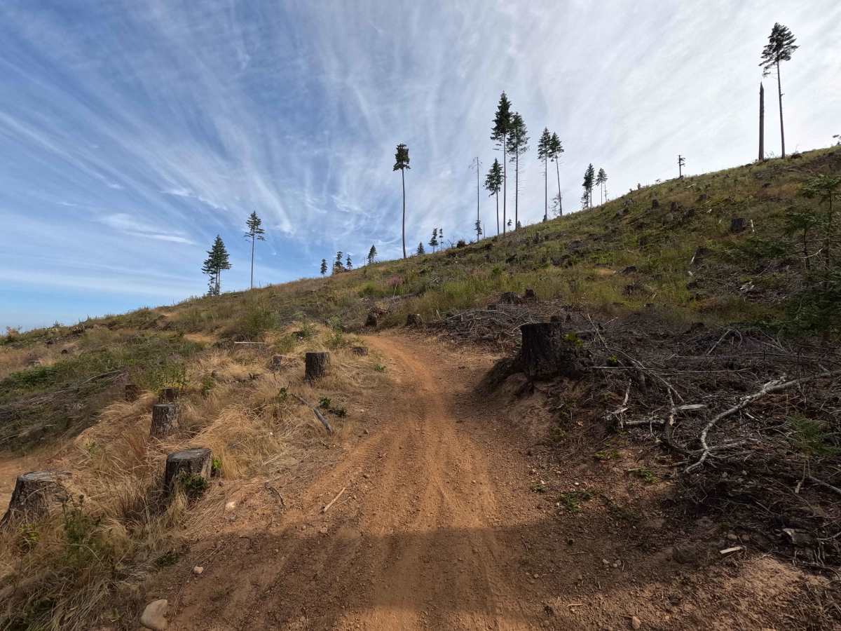 Scaler trail photo