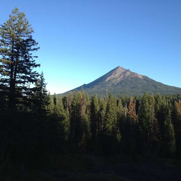 Near High Lakes Trail #6200