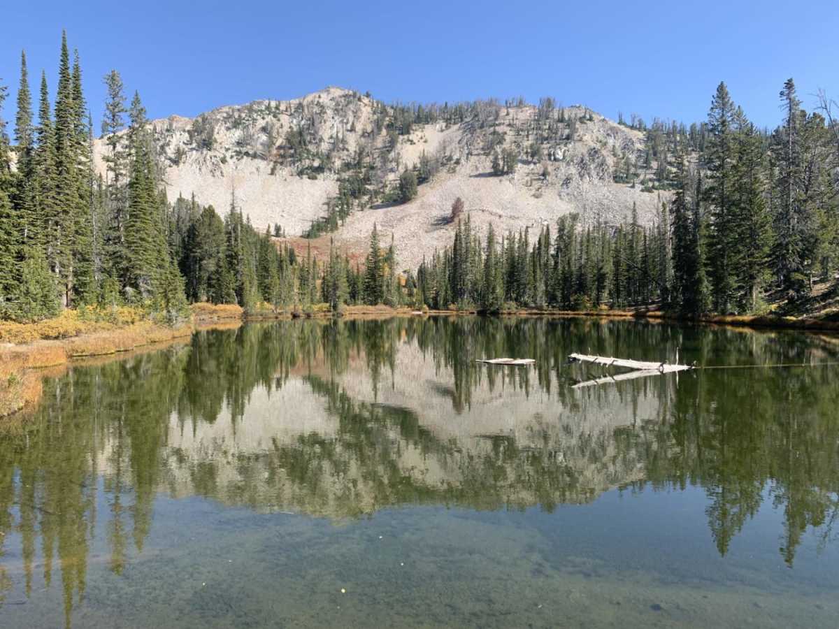 Moores Gulch photo 4