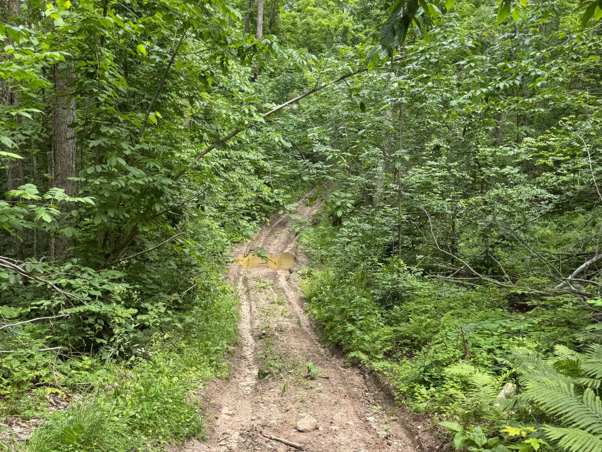 Cedar Run photo 5