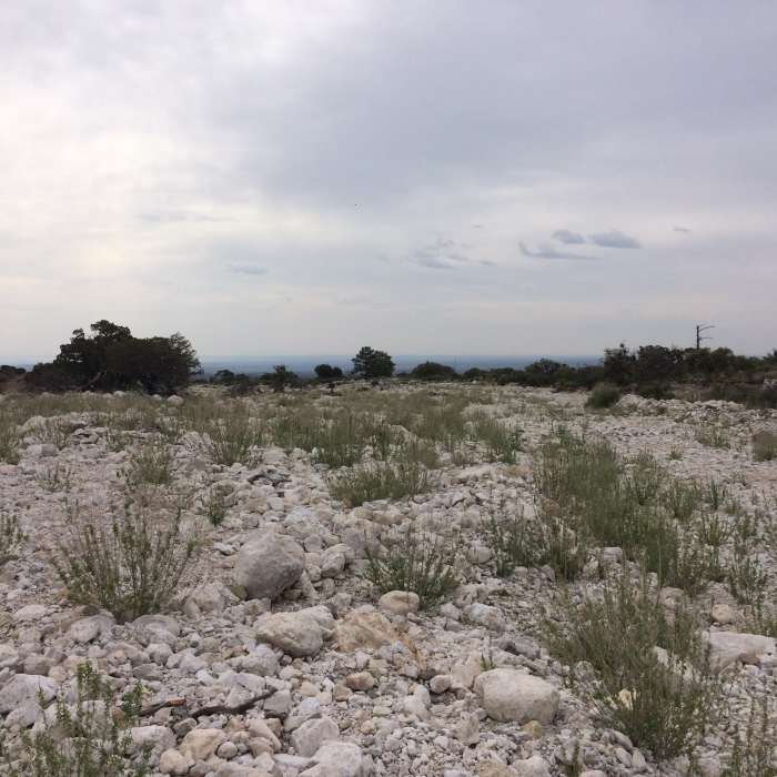 At the very start of the hike, you cross a dry river bed. It is quite wide and must be an awesome sight when water is flowing through it. Near Guadalupe Peak Trail