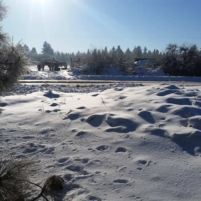 Near Rimrock Drive