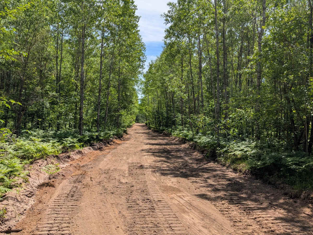 North Forest Trail photo 4
