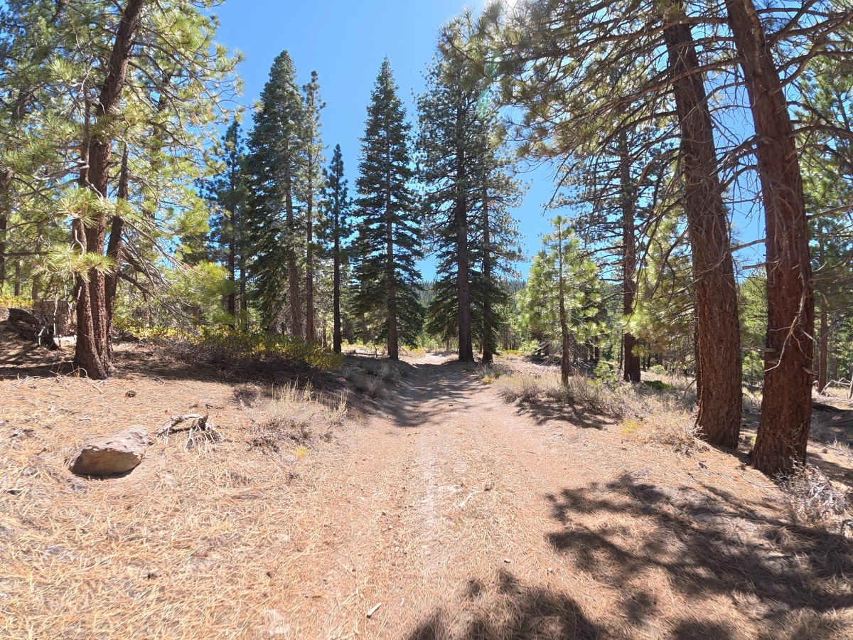 FS 3S119 trail photo