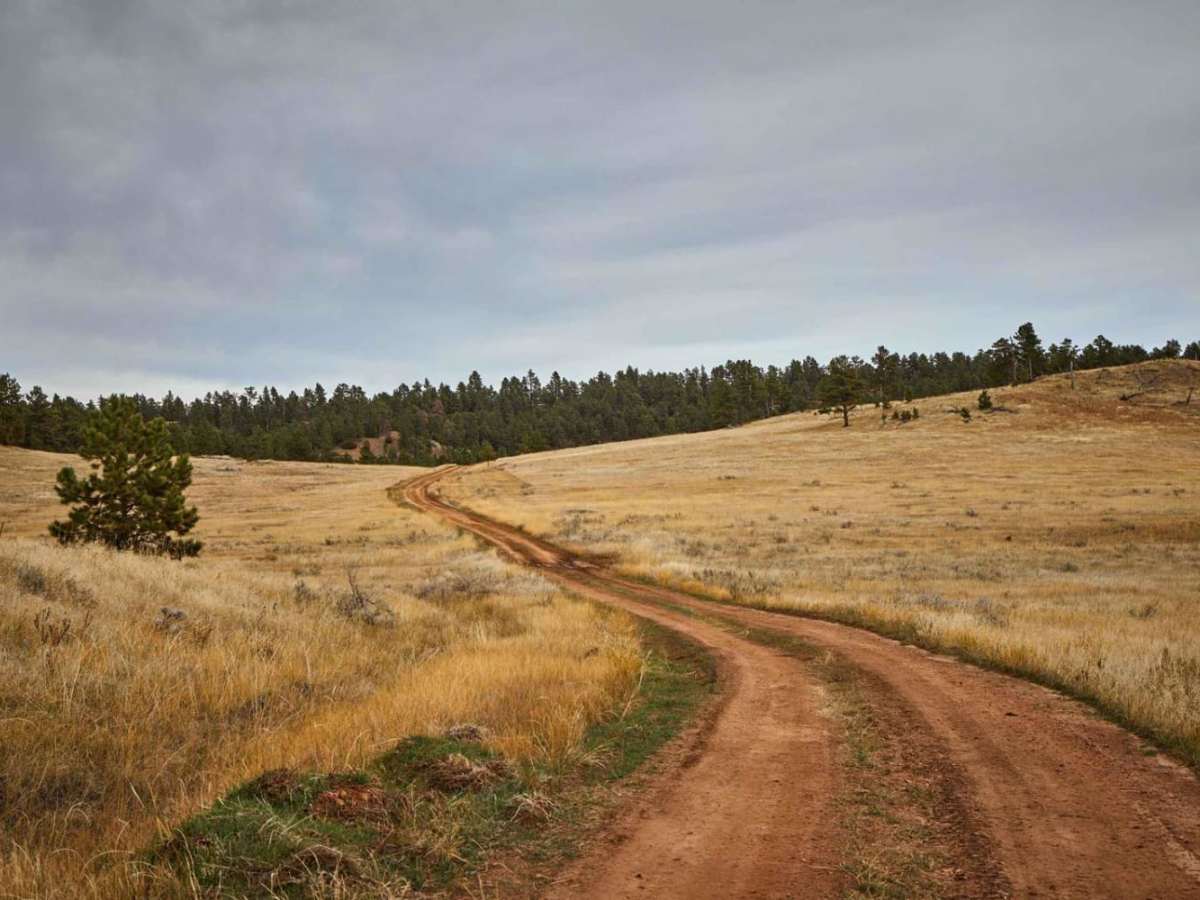 Reanus Cone Trail Part 1 photo 4