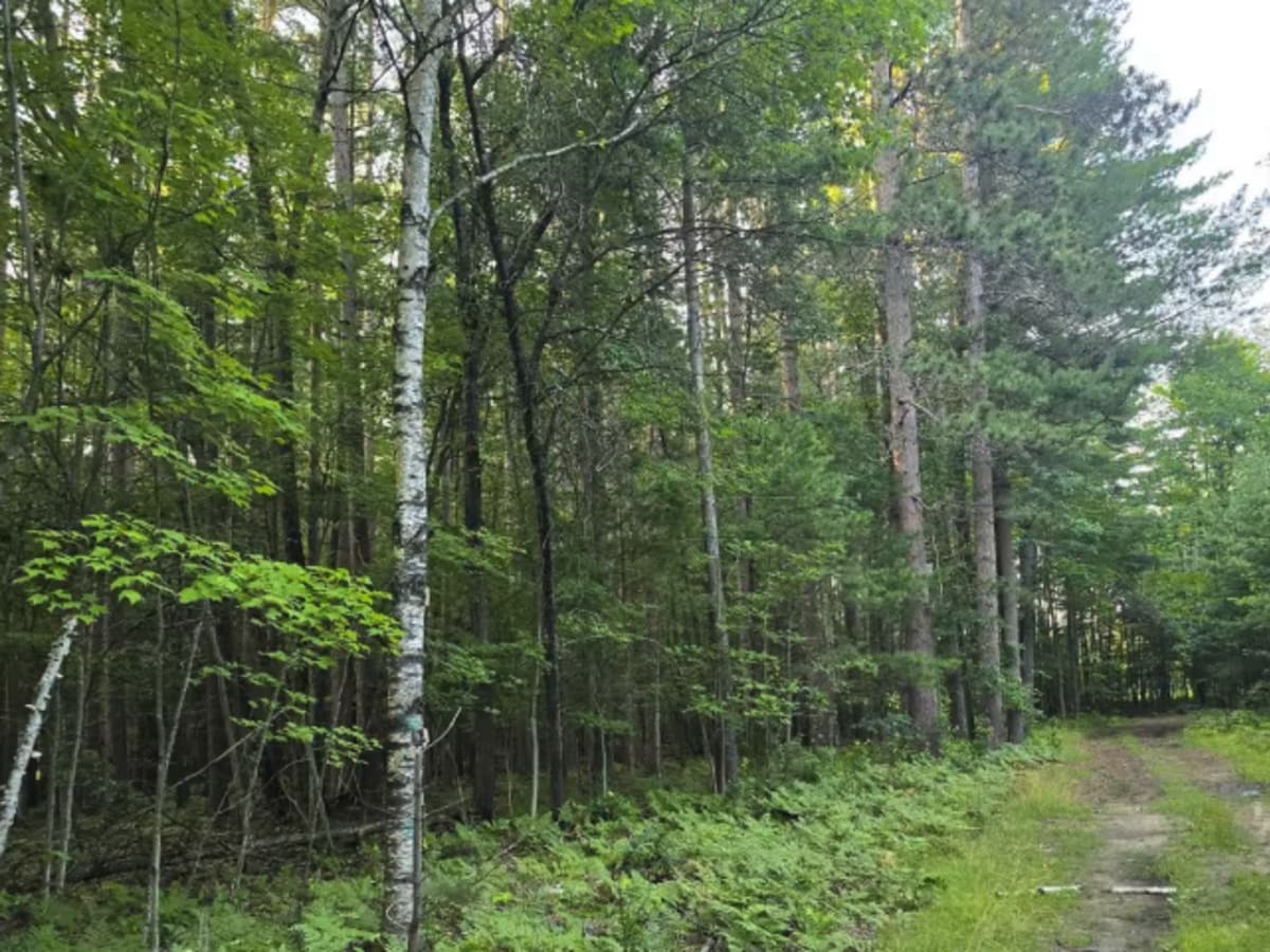Camp Trail photo 5