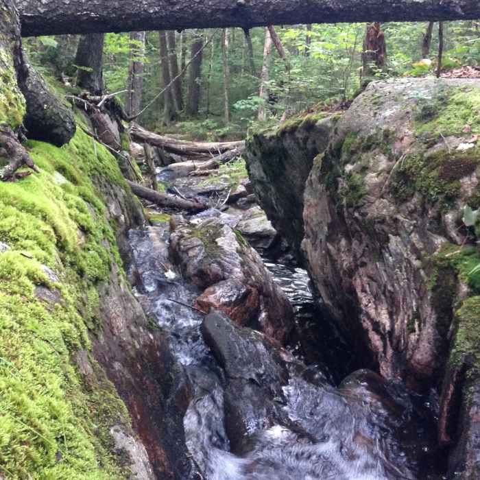 Near Johannsen-Sommets-Grand Brule