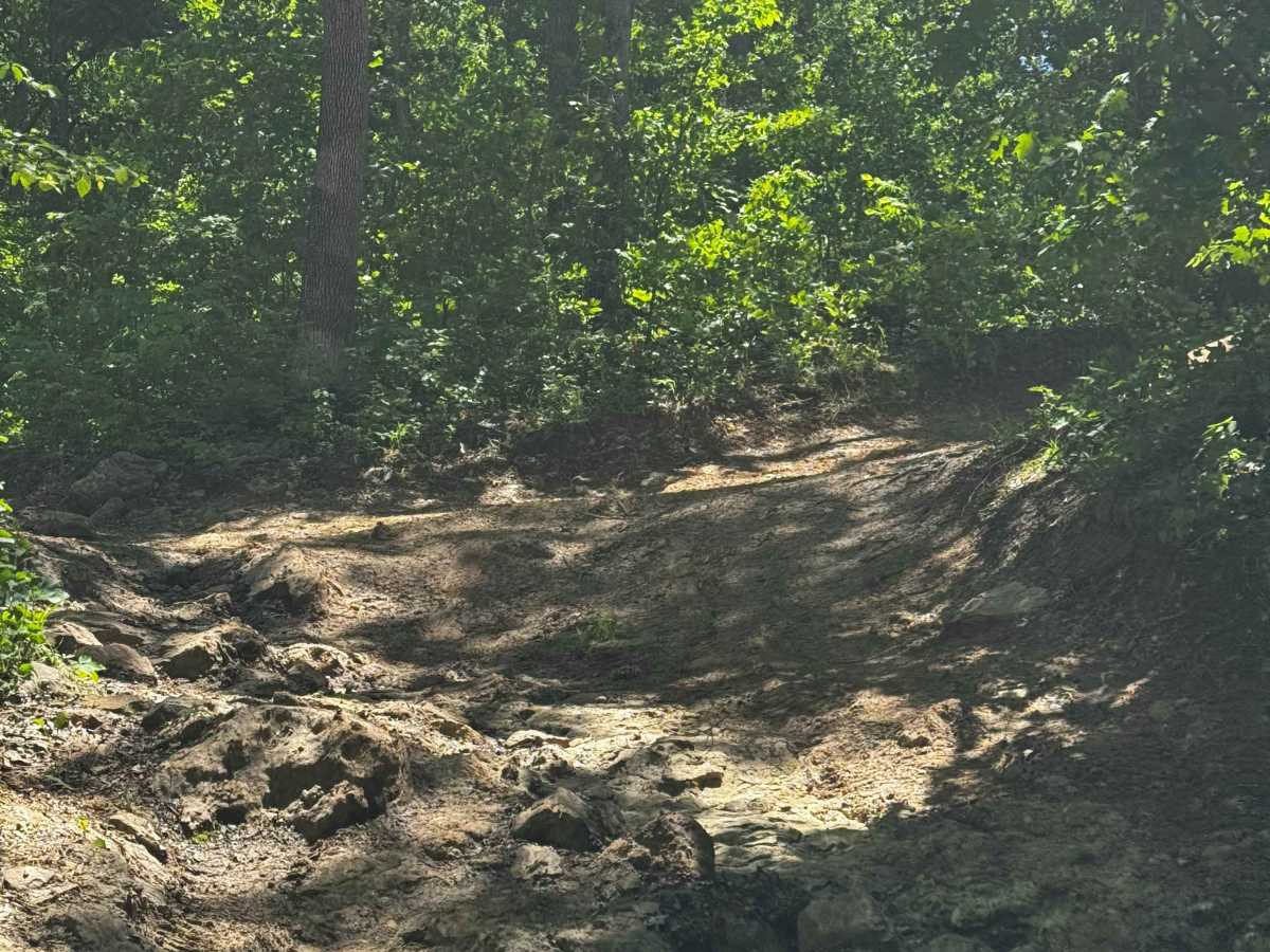 Hill Climb trail photo