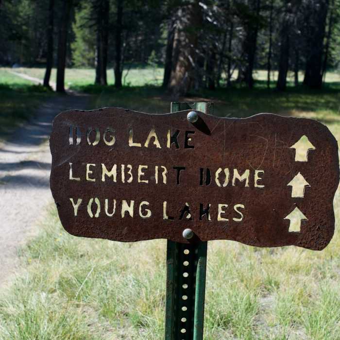 Near Dog Lake Trail