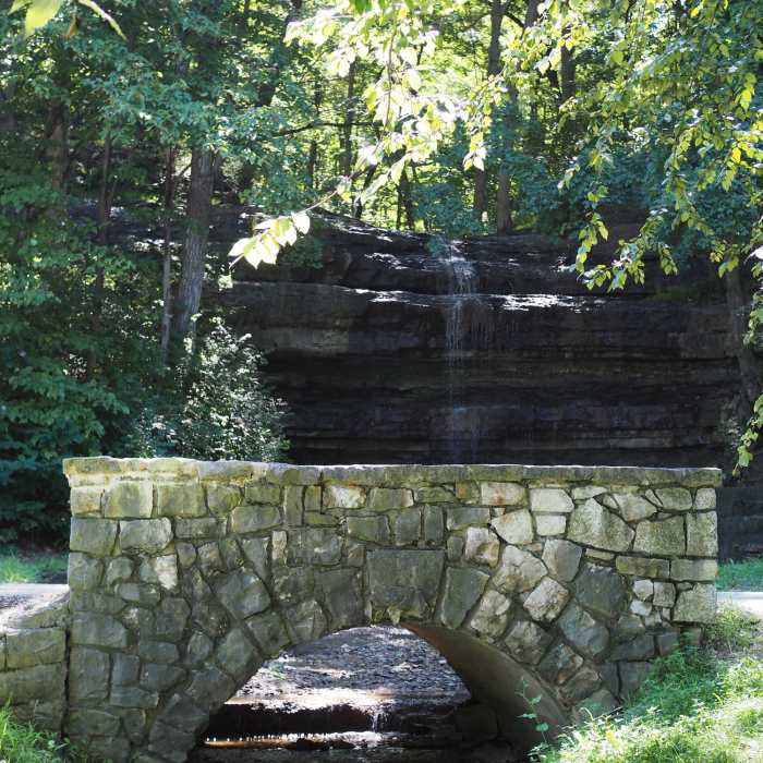 Near Lakeview Loop Trail