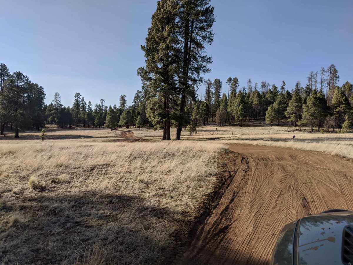 00296 Road photo 5