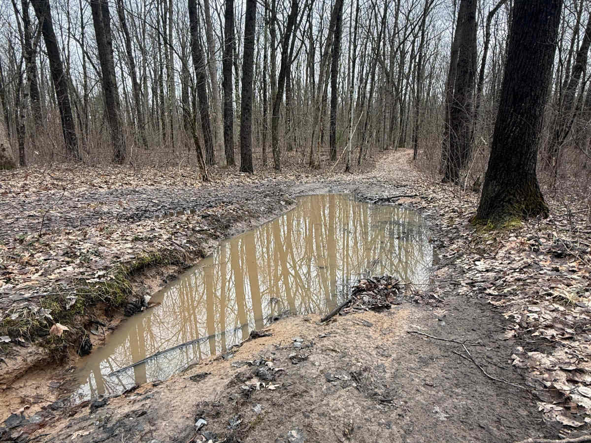 FS 8395 trail photo