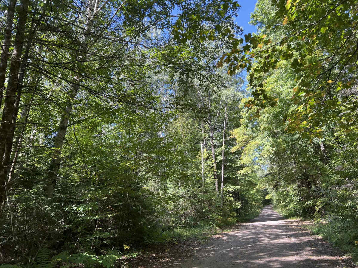 Rat River Road - FS 2134 photo 2