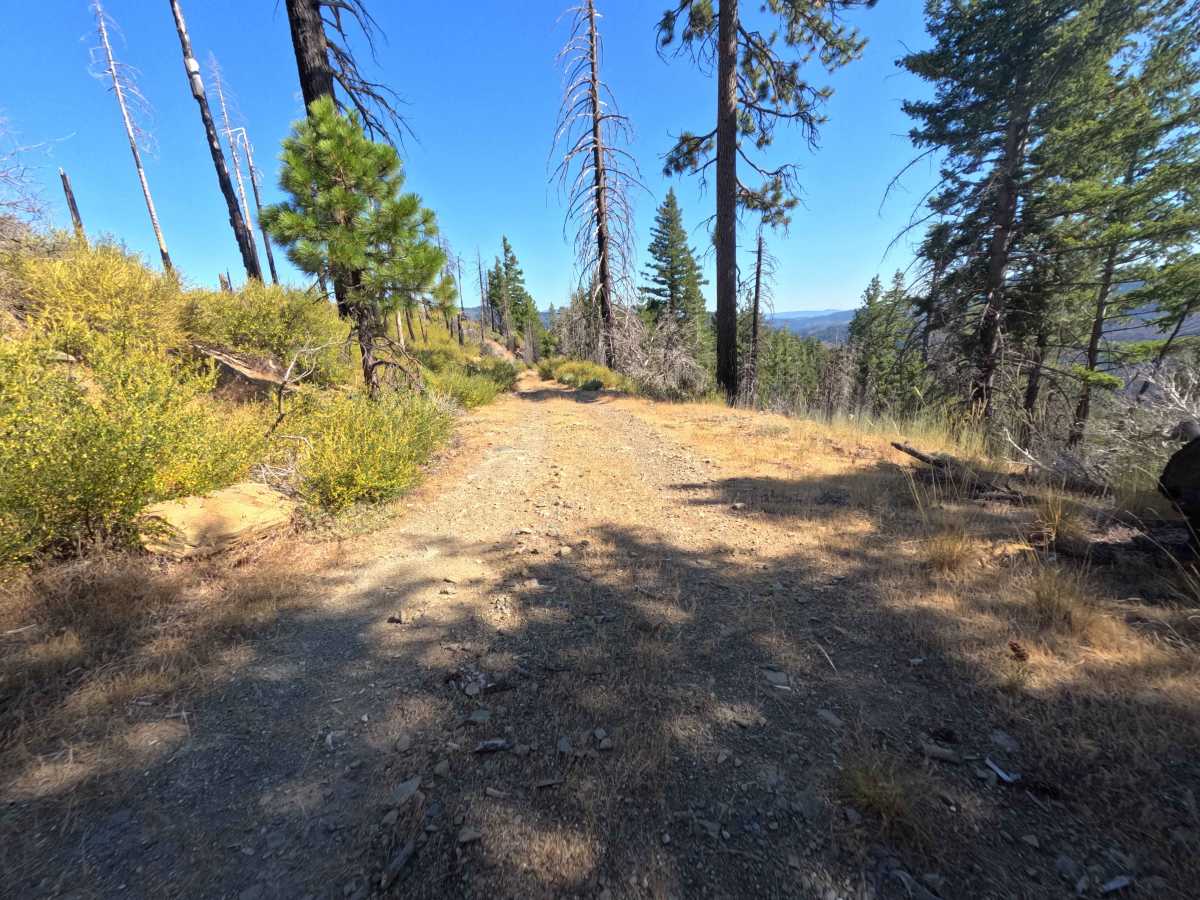 Spanish Ridge - FS 21N39 photo 5