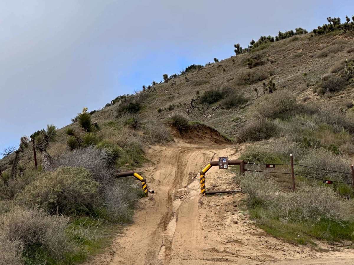 Packers Ridge photo 5