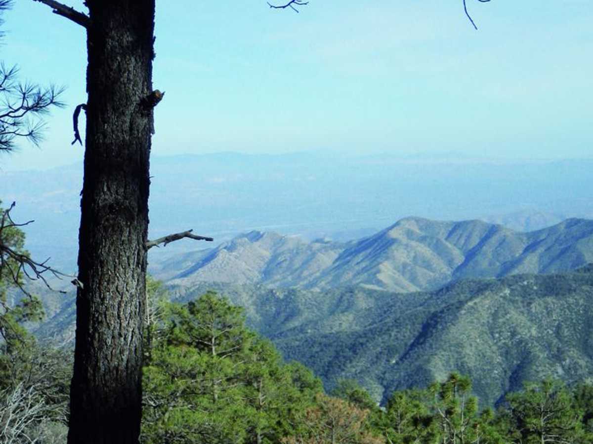 Backway to Mount Lemmon photo 5