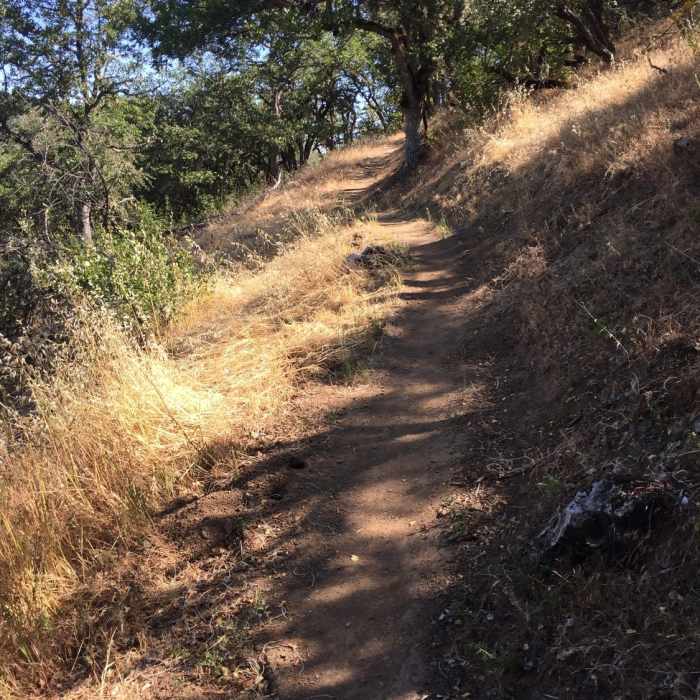 Close to start from the bottom entrance. Near East Applegate Ridge Trail (ART)