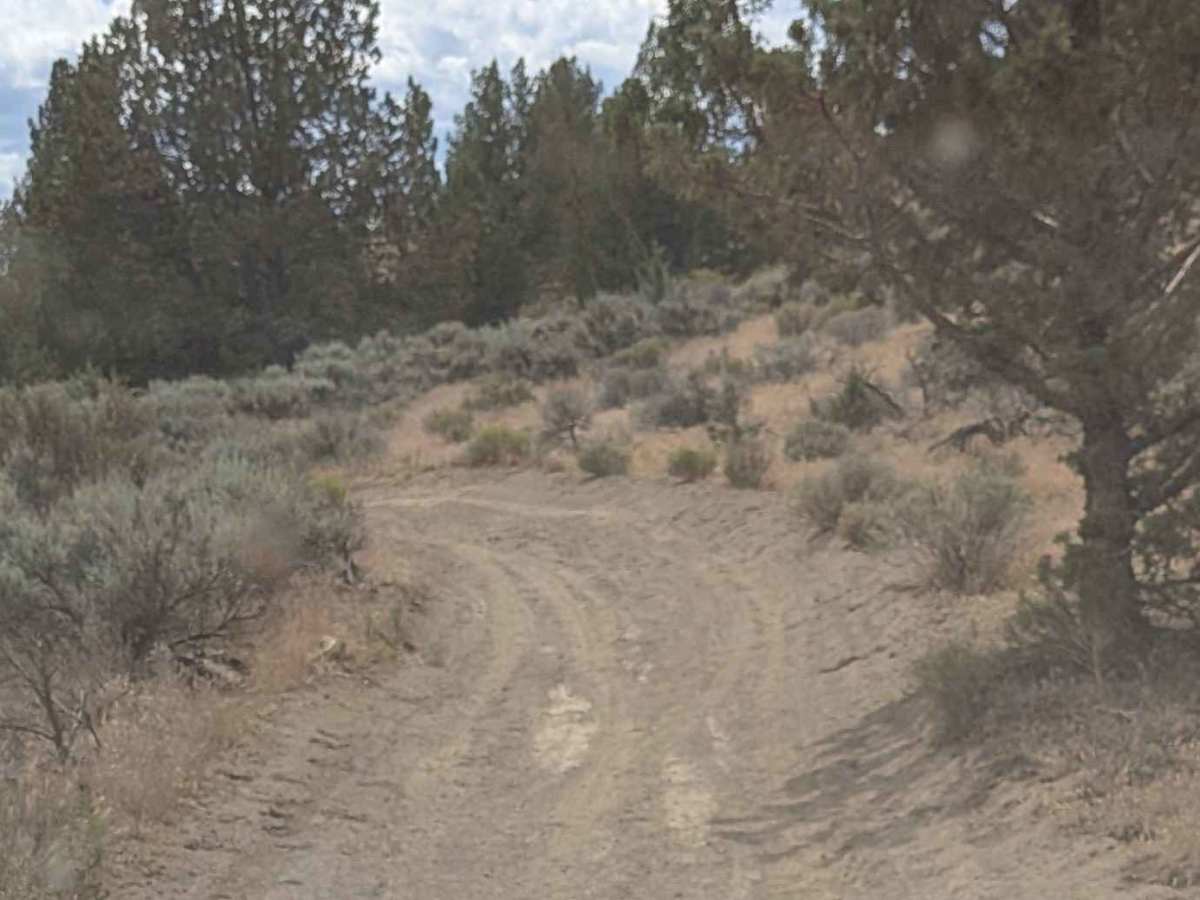 Cline Buttes OHV Trail 23 photo 5