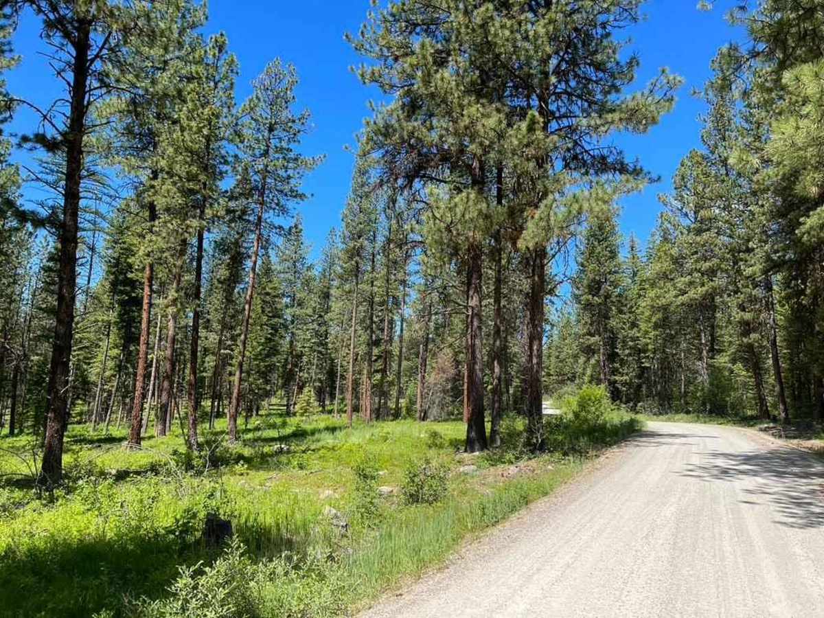 Butler Creek Loop 456 photo 4