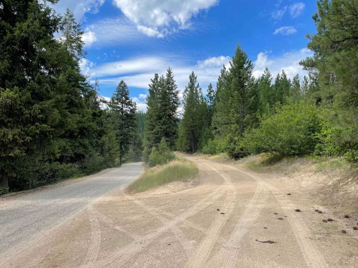 Williams Pass photo 2