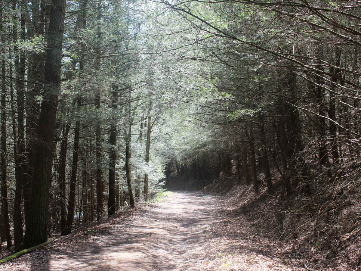 Stillhouse Hollow Trail photo 3