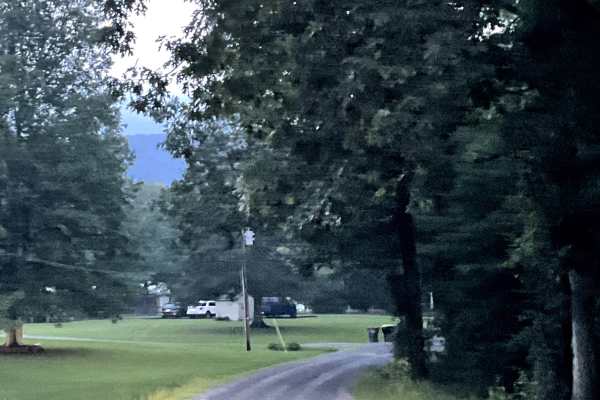 Locust Bottom