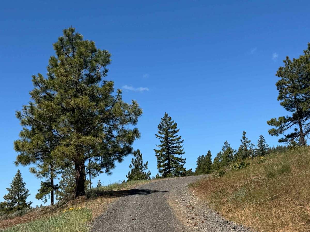 Benton - FS 1701-517 trail photo