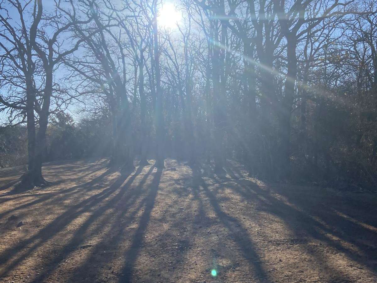 Sumac trail trail photo